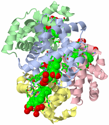 Image Biol. Unit 1 - sites