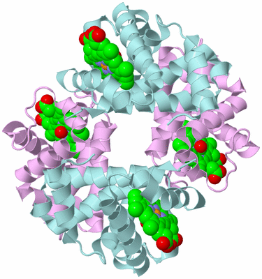 Image Biological Unit 2