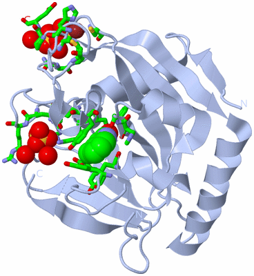 Image Biol. Unit 1 - sites