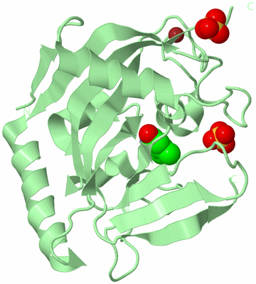 Image Biological Unit 2