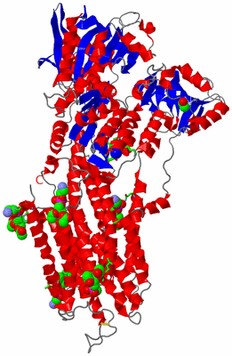 Image Asym./Biol. Unit - sites