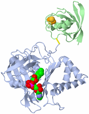 Image Biological Unit 1