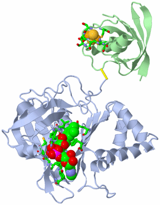 Image Biol. Unit 1 - sites