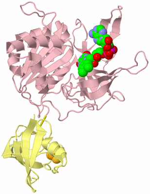 Image Biological Unit 2