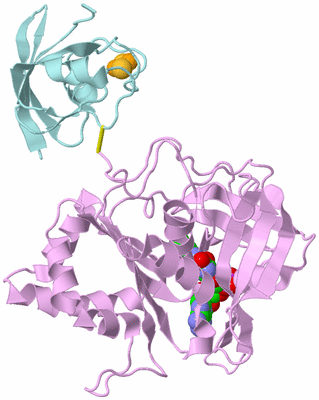 Image Biological Unit 3