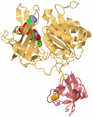 Image Biological Unit 4