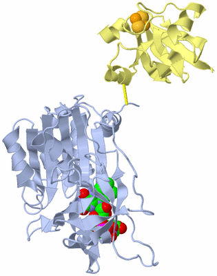 Image Biological Unit 1