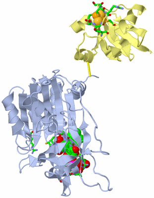 Image Biol. Unit 1 - sites