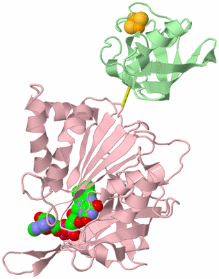 Image Biological Unit 2