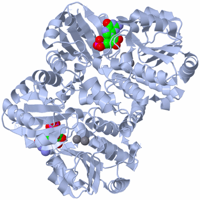 Image Biological Unit 1