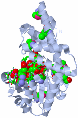 Image Biol. Unit 1 - sites