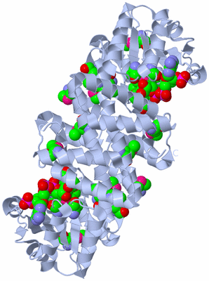 Image Biological Unit 2