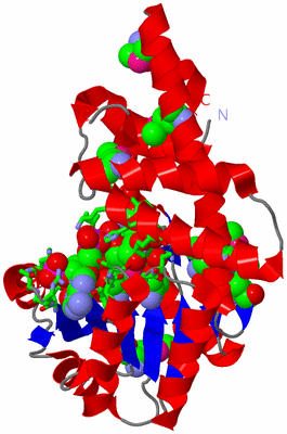 Image Asym. Unit - sites