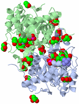 Image Asym./Biol. Unit