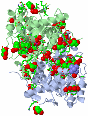 Image Asym./Biol. Unit - sites