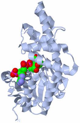 Image Biological Unit 1