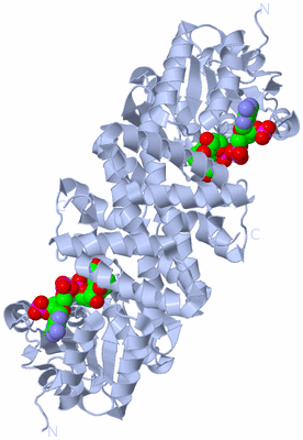 Image Biological Unit 2