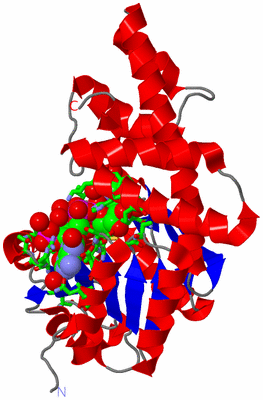 Image Asym. Unit - sites