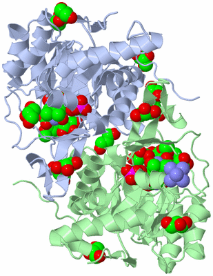 Image Asym./Biol. Unit