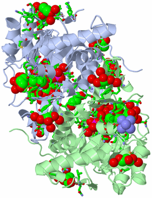 Image Asym./Biol. Unit - sites