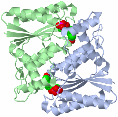 Image Asym./Biol. Unit