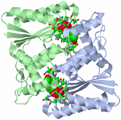 Image Asym./Biol. Unit - sites