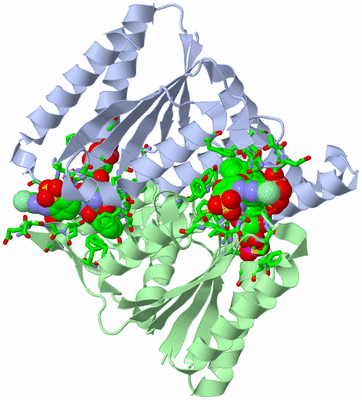 Image Biol. Unit 1 - sites