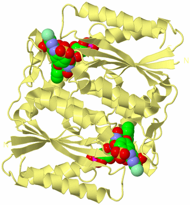 Image Biological Unit 2