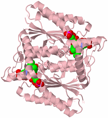 Image Biological Unit 3