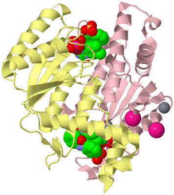 Image Biological Unit 2