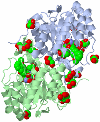 Image Asym./Biol. Unit