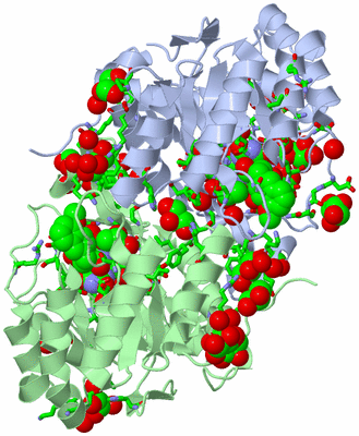 Image Asym./Biol. Unit - sites