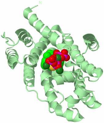 Image Biological Unit 2