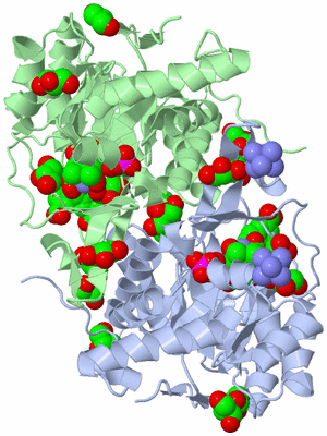 Image Asym./Biol. Unit