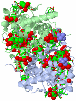 Image Asym./Biol. Unit - sites