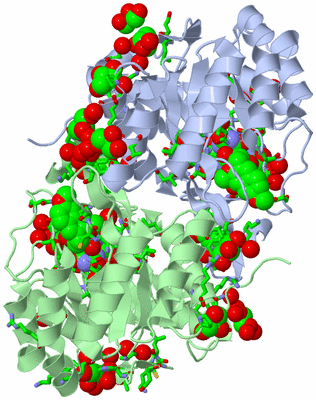 Image Asym./Biol. Unit - sites