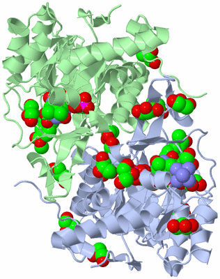 Image Asym./Biol. Unit