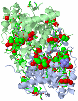 Image Asym./Biol. Unit - sites