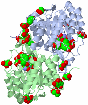 Image Asym./Biol. Unit