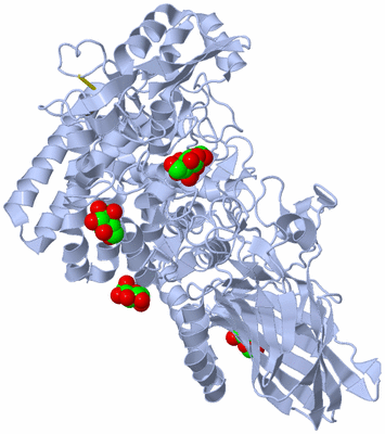 Image Biological Unit 1