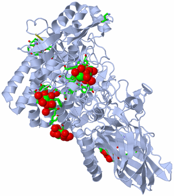 Image Biol. Unit 1 - sites