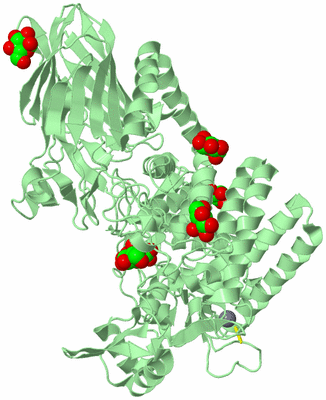 Image Biological Unit 2