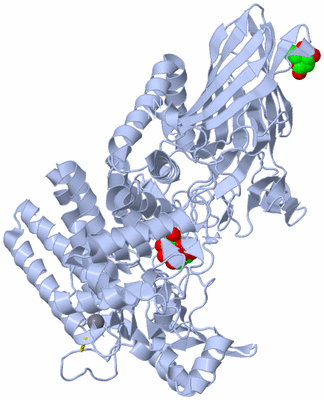 Image Biological Unit 1