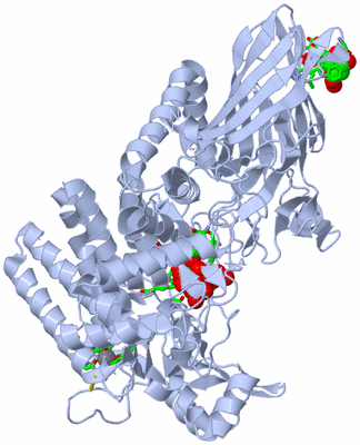 Image Biol. Unit 1 - sites