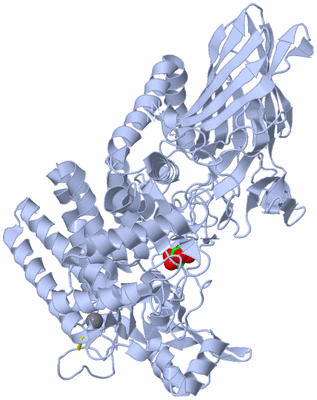 Image Biological Unit 1