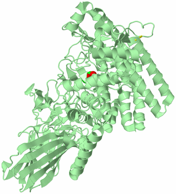 Image Biological Unit 2