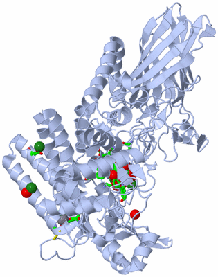 Image Biol. Unit 1 - sites