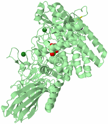 Image Biological Unit 2