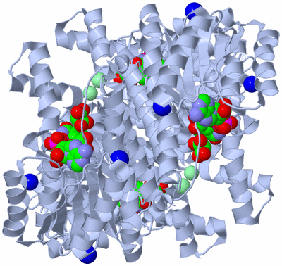 Image Biological Unit 1