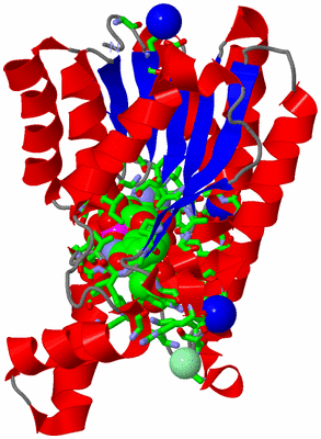 Image Asym. Unit - sites